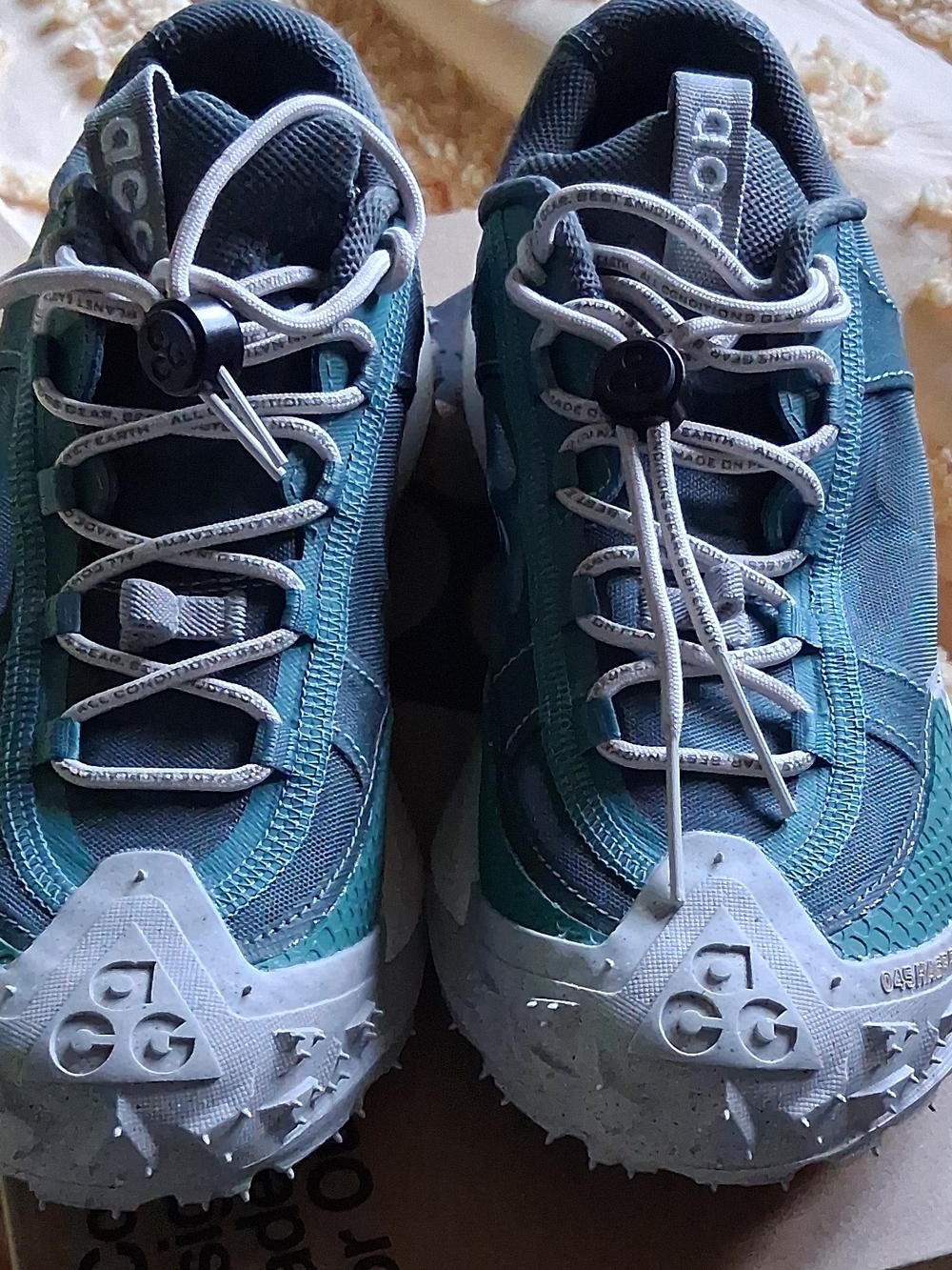 Nike Women's Teal and Gray Trail Sneakers